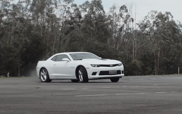 Camaro Loyalty
